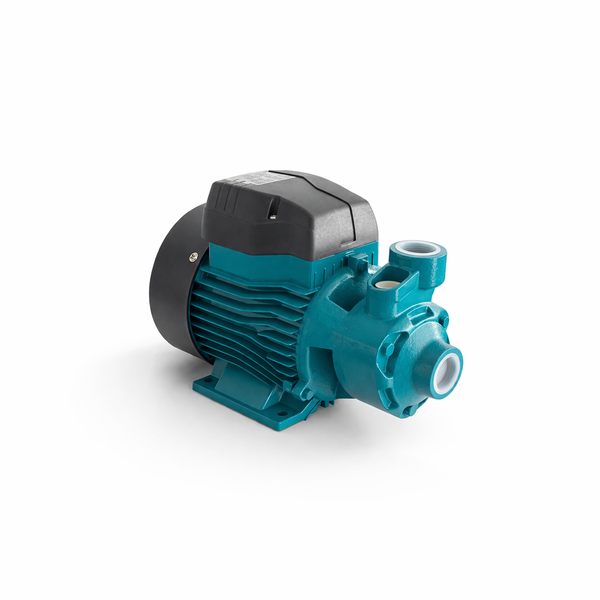 LEO APm60 Pump 3/4 HP