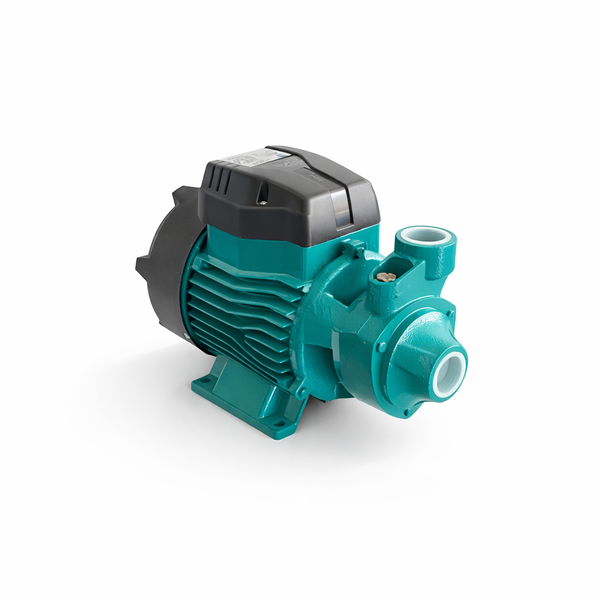 QB70 0.85HP Water Pump