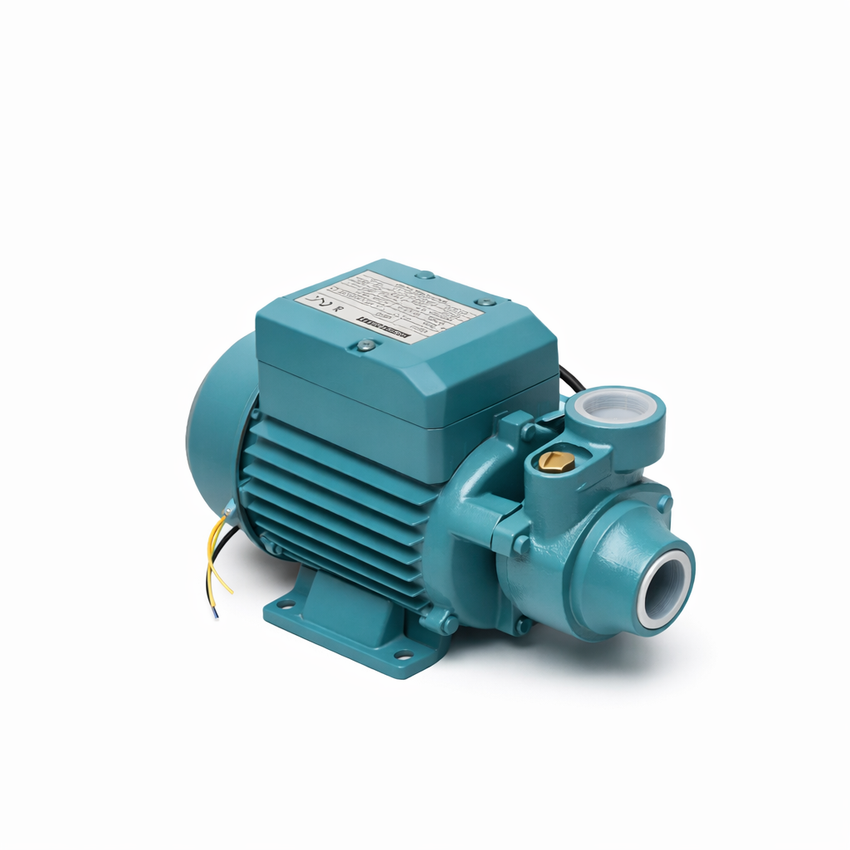 QB60 1/2 HP Pump