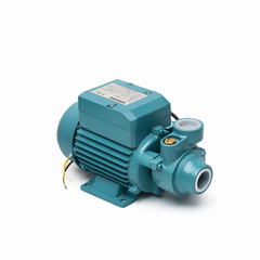 QB60 1/2 HP Pump